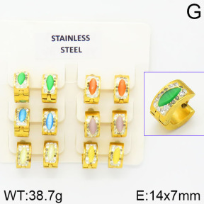 Stainless Steel Earrings  2E4001347ajvb-658