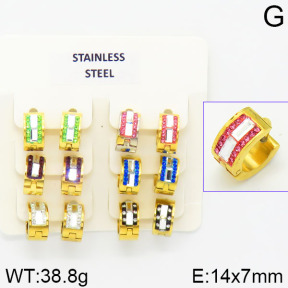 Stainless Steel Earrings  2E4001349ajvb-658