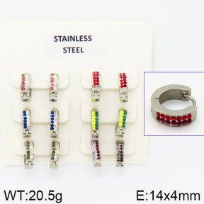 Stainless Steel Earrings  2E4001351aivb-658