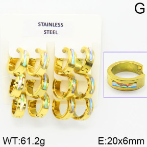Stainless Steel Earrings  2E4001352aiov-658