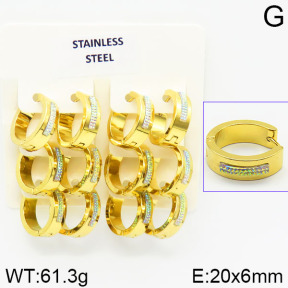 Stainless Steel Earrings  2E4001353aiov-658