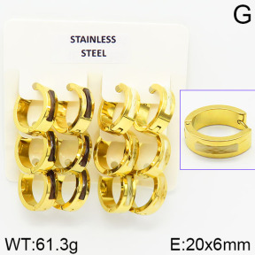 Stainless Steel Earrings  2E4001354aiov-658