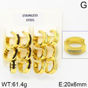 Stainless Steel Earrings  2E4001356aiov-658