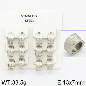 Stainless Steel Earrings  2E5000028aivb-658