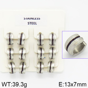 Stainless Steel Earrings  2E5000029aija-658