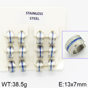 Stainless Steel Earrings  2E5000030aija-658