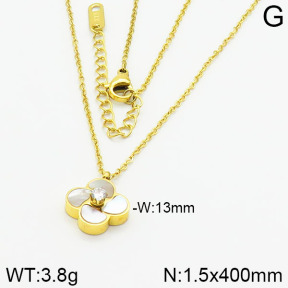 Stainless Steel Necklace  2N4000796bvpl-669