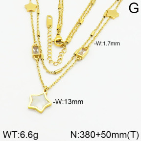 Stainless Steel Necklace  2N4000800bhia-669