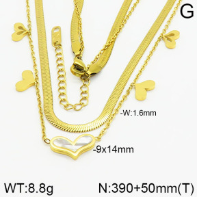 Stainless Steel Necklace  2N4000802vhha-669
