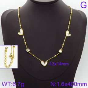 Stainless Steel Necklace  2N4000808bhia-669