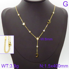 Stainless Steel Necklace  2N4000810bhil-669