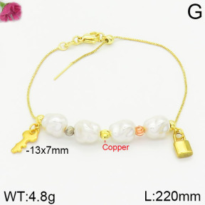Fashion Copper Bracelet  F2B300158bhia-J39