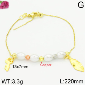 Fashion Copper Bracelet  F2B300161bhva-J39