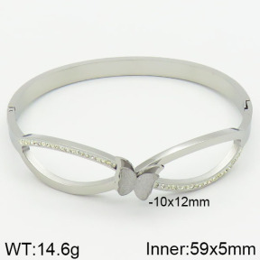 Stainless Steel Bangle  2BA400498vhha-434