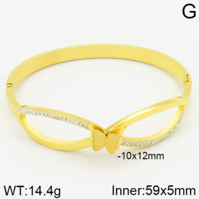 Stainless Steel Bangle  2BA400499ahjb-434