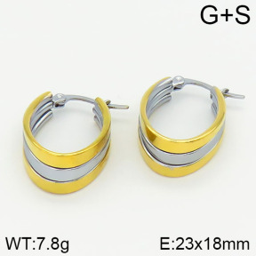 Stainless Steel Earrings  2E2000959aakl-319