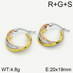 Stainless Steel Earrings  2E2000960vbll-319