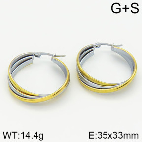Stainless Steel Earrings  2E2000961aakl-319