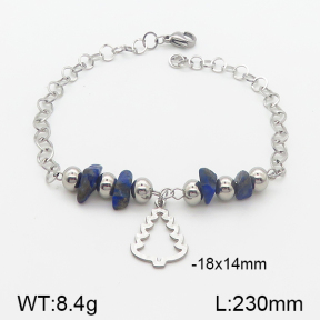 Stainless Steel Bracelet  5B4001065bbov-350