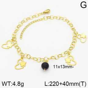 Stainless Steel Anklets  2A9000620ablb-610