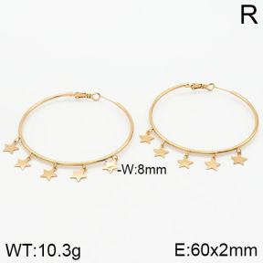 Stainless Steel Earrings  2E2000968ahjb-722