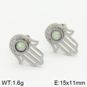 Stainless Steel Earrings  2E4001376bhva-721
