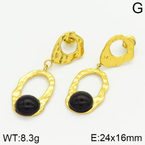 Stainless Steel Earrings  2E4001377bhia-722