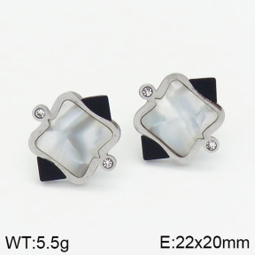 Stainless Steel Earrings  2E4001379vbnb-722