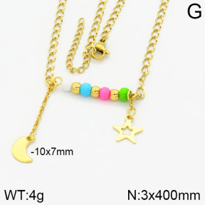 Stainless Steel Necklace  2N4000814bhva-610