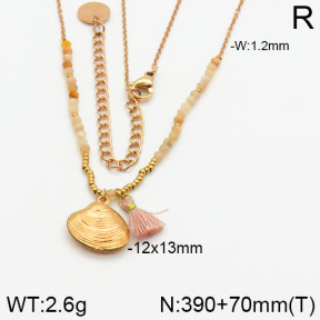 Stainless Steel Necklace  2N4000835vbpb-721