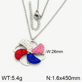 Stainless Steel Necklace  2N4000837vhha-721