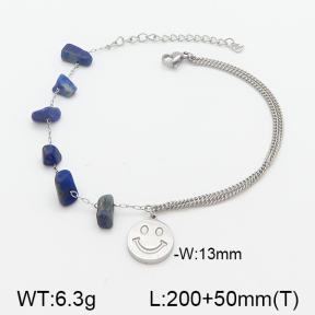 Stainless Steel Bracelet  5B4001113ablb-738