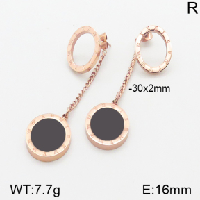 Stainless Steel Earrings  5E4001106bhva-323