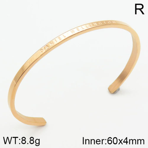 Daniel Wellington  Bangles  PZ0140725vbpb-721