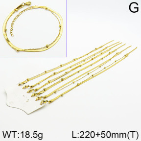 Stainless Steel Anklets  2A9000641aina-666