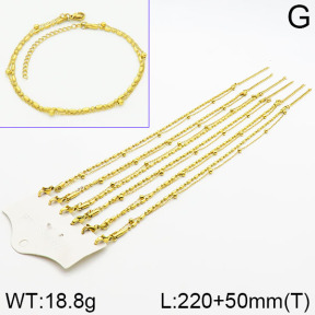 Stainless Steel Anklets  2A9000642aina-666
