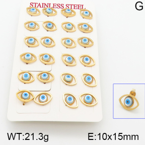 Stainless Steel Earrings  5E3000515bpmb-666