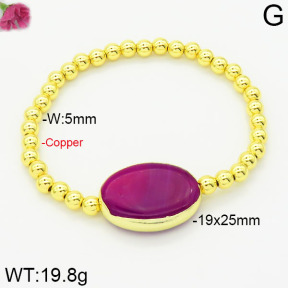 Fashion Copper Bracelet  F2B400681vhov-J128