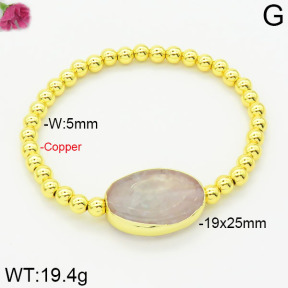 Fashion Copper Bracelet  F2B400682vhov-J128