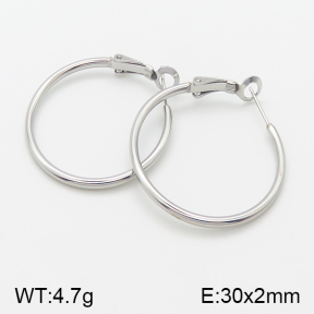 Stainless Steel Earrings  5E2001370aaho-741