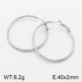 Stainless Steel Earrings  5E2001371vaia-741