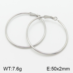 Stainless Steel Earrings  5E2001372vaii-741