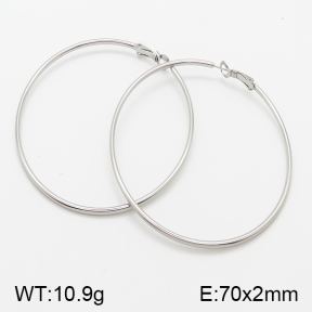 Stainless Steel Earrings  5E2001374aaim-741