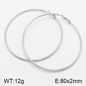 Stainless Steel Earrings  5E2001375aaio-741