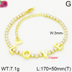 Fashion Copper Bracelet  F2B400629vhov-J111