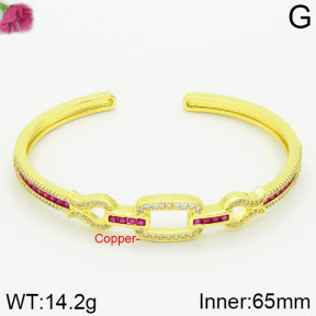 Fashion Copper Bangle  F2BA40239bika-J111
