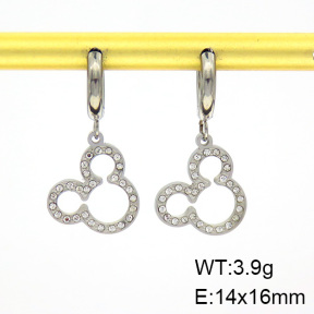 SS Earrings  TE6000796bbov-908
