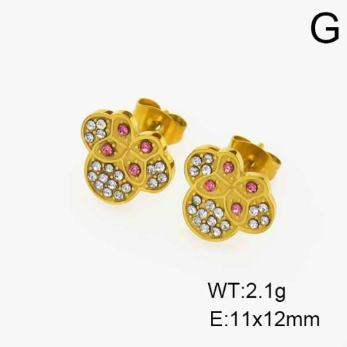 SS Earrings  TE6000865vbnb-908