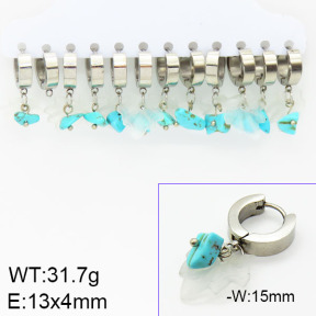 Stainless Steel Earrings  2E4001397bika-212