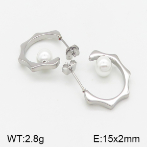 Stainless Steel Earrings  5E3000517vbnb-259